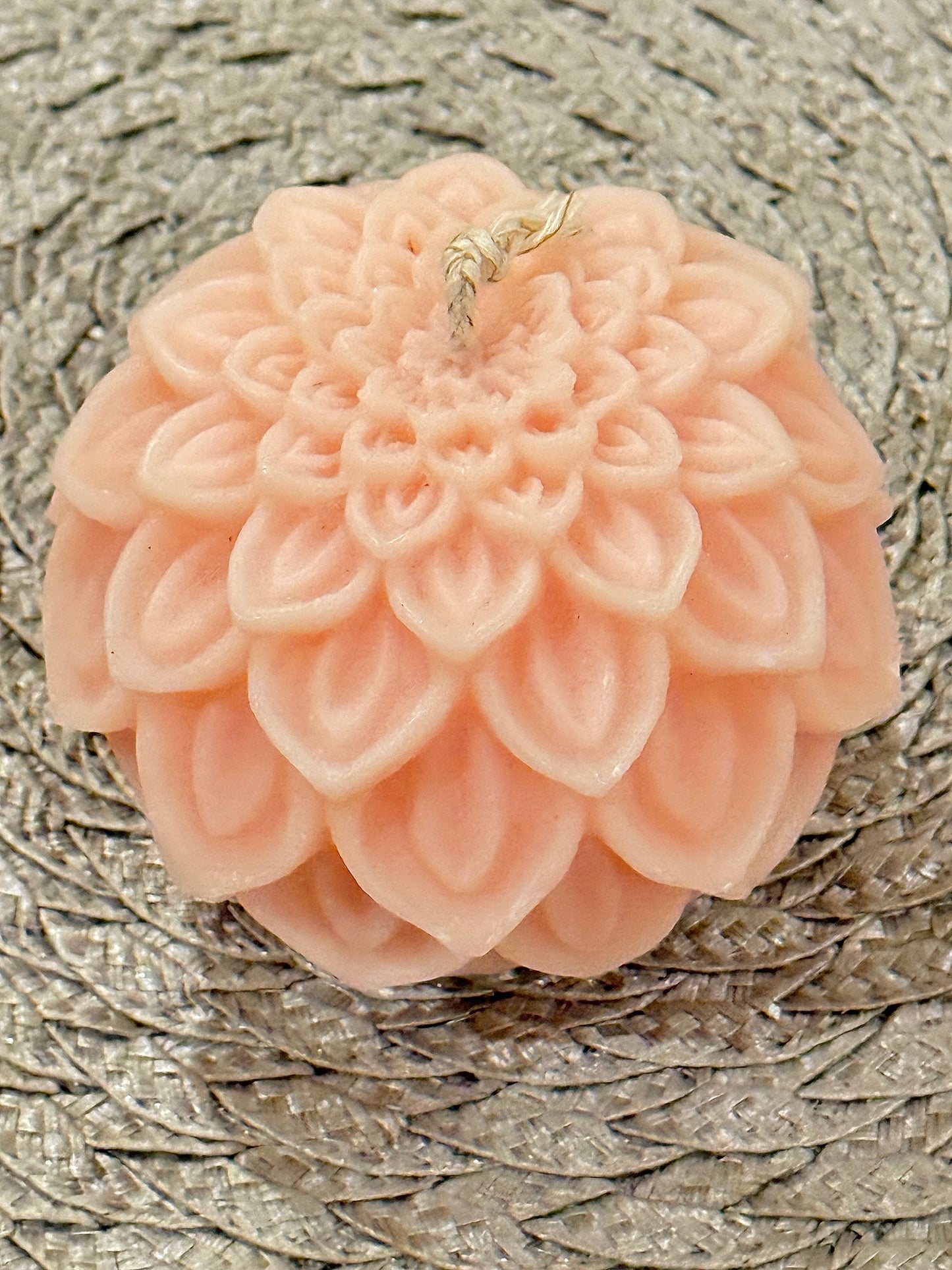 Dahlia Bloom