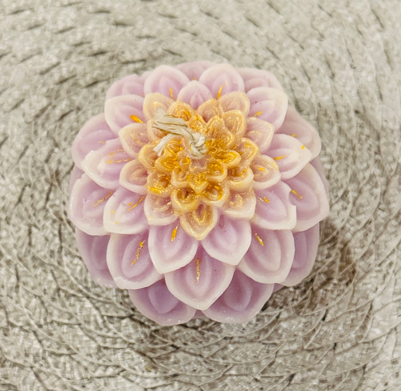 Dahlia Bloom