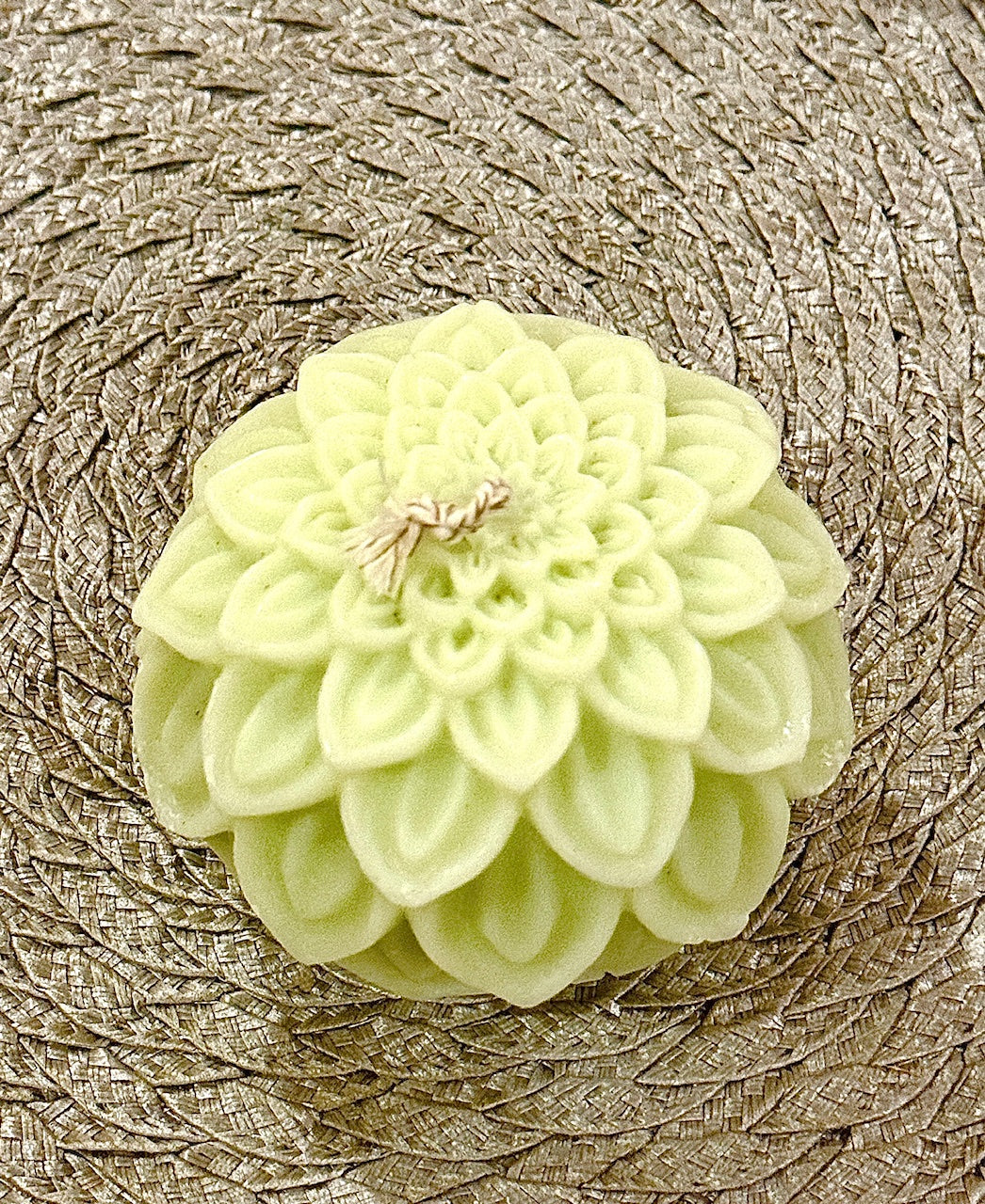 Dahlia Bloom
