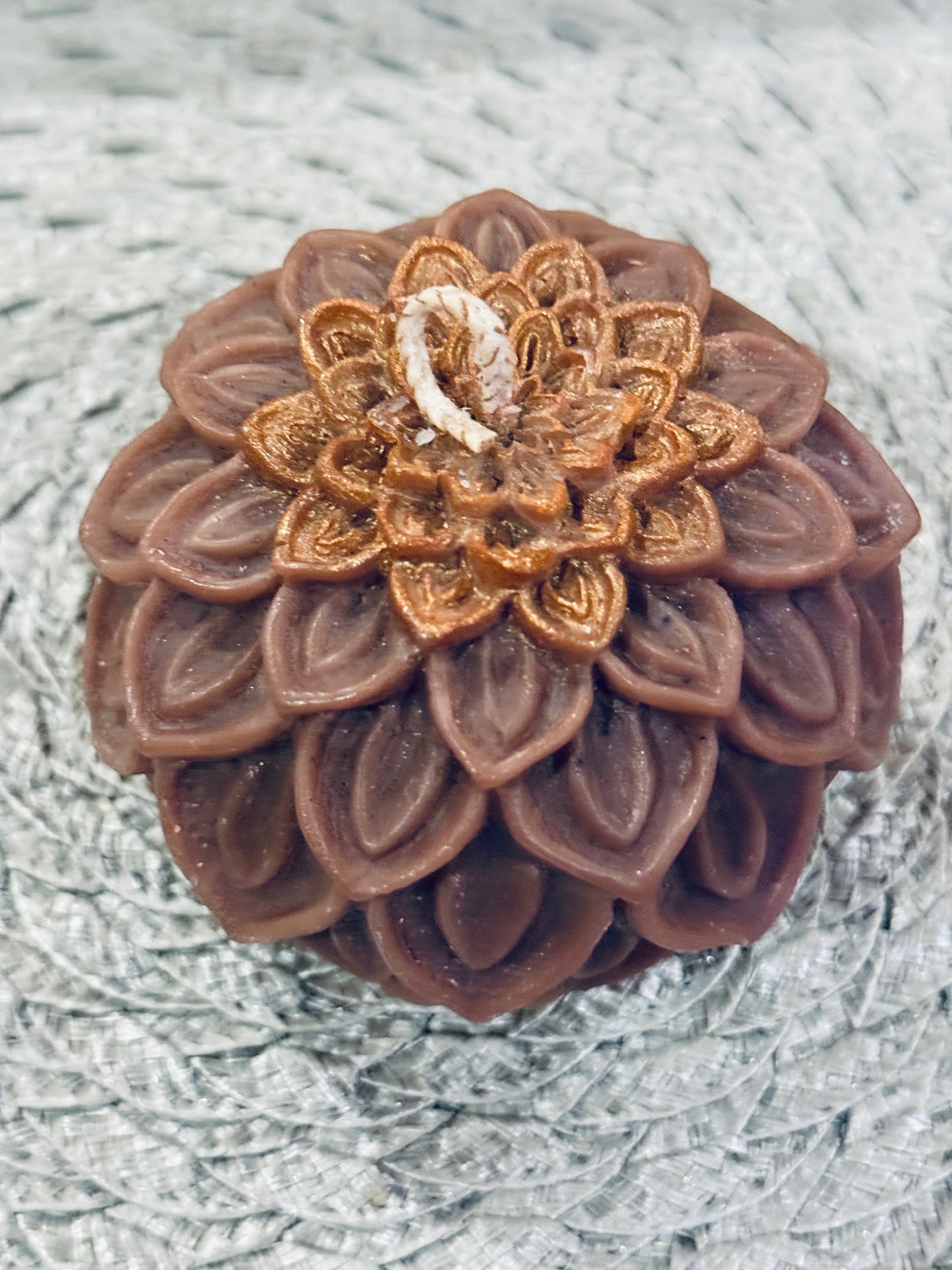 Dahlia Bloom