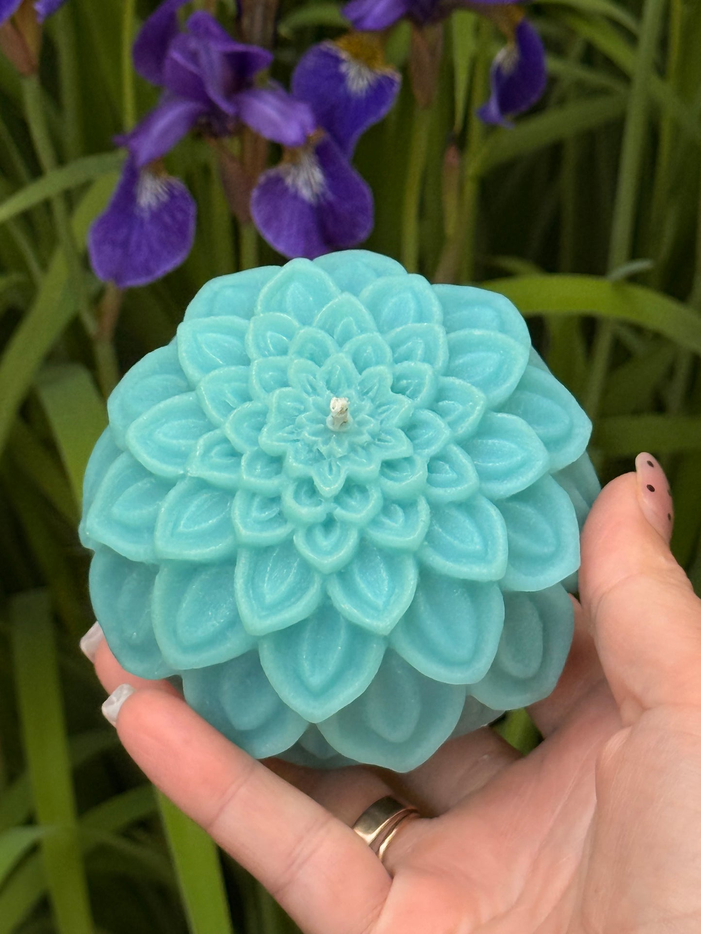Dahlia Bloom