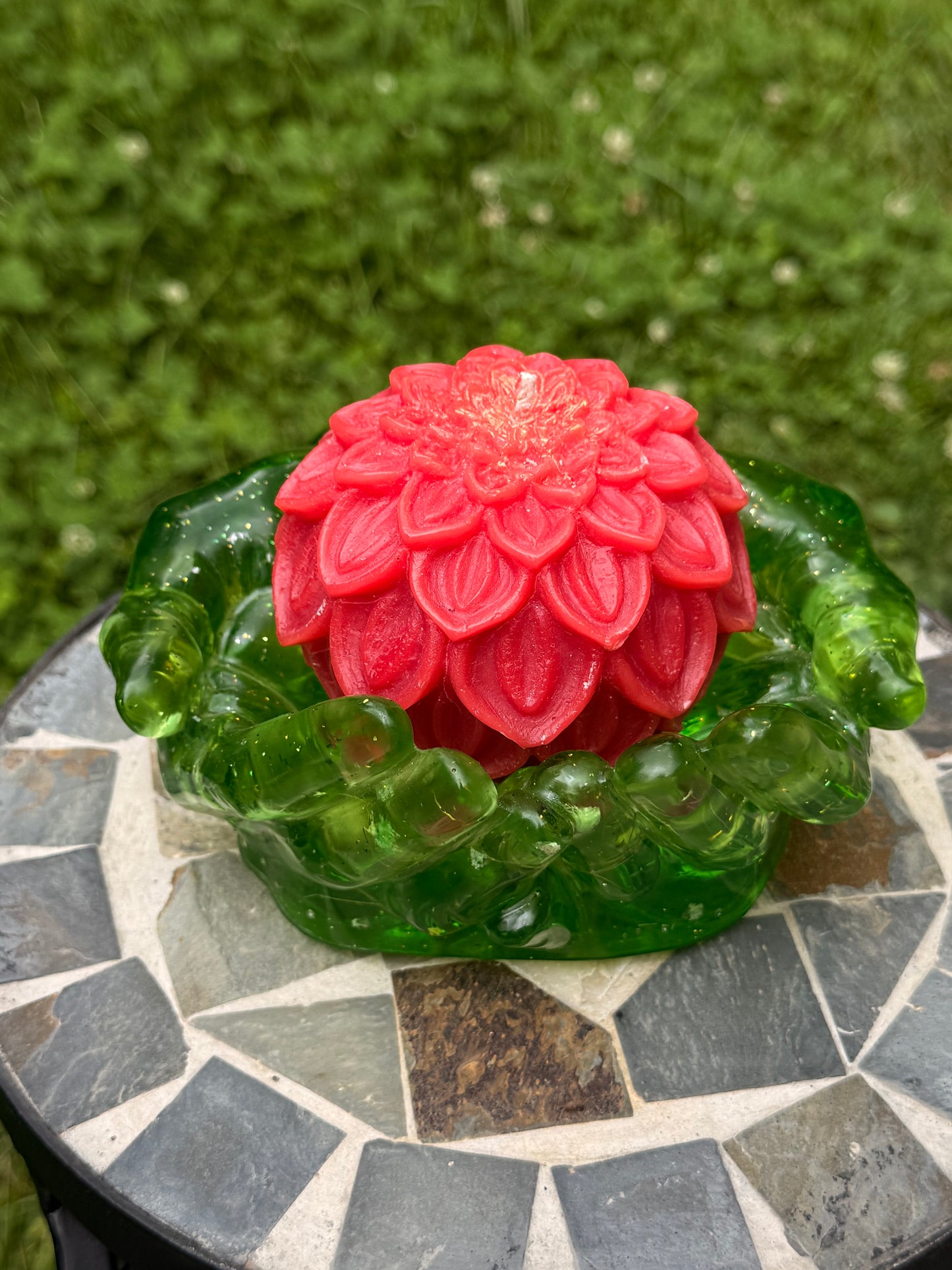 Dahlia Bloom