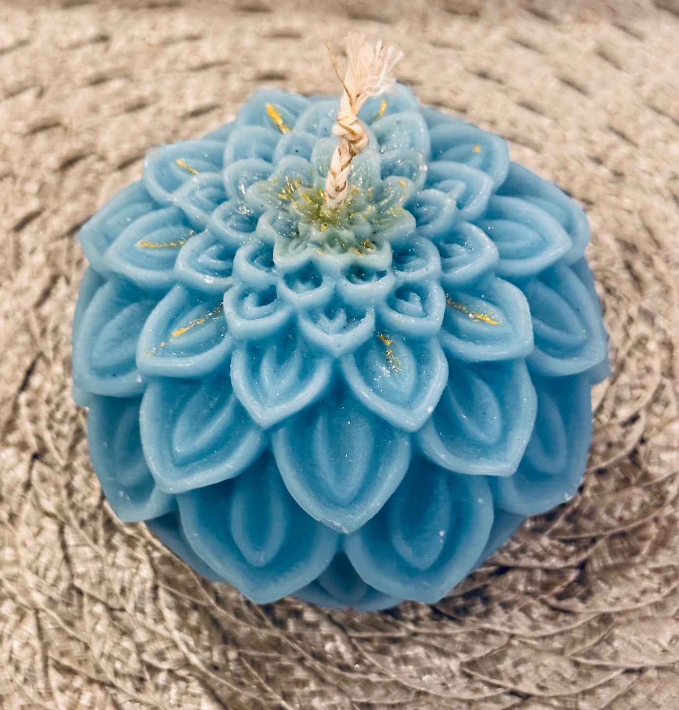 Dahlia Bloom
